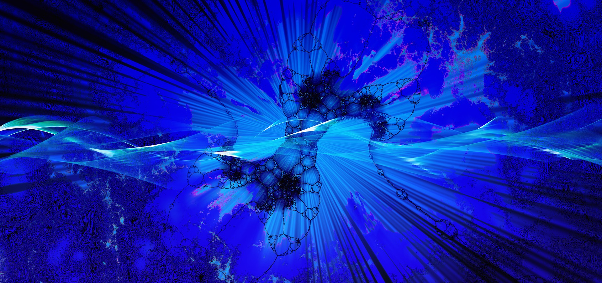 Header banner image