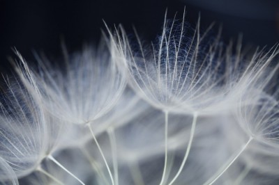 From the unreal to the real blog image - Faith and the theory of evolution